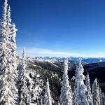 Whitefish Mountain Resort ("Big Mountain")