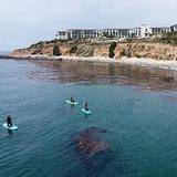 Paddle Boarding