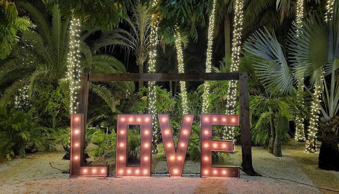 The Wedding Website of Meka Womack and Ben Hornberger