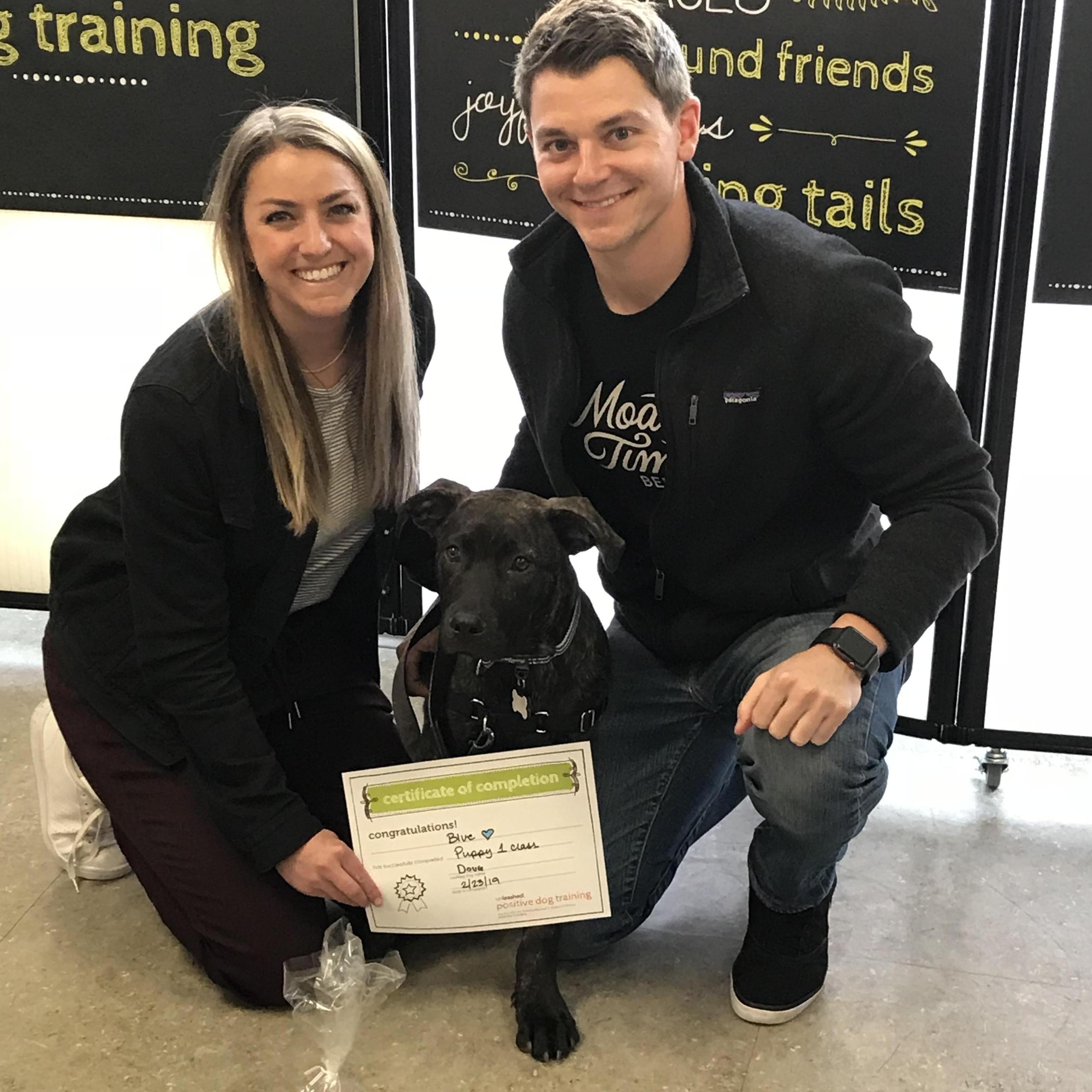 Blue's puppy training graduation - I think he needs a refresher now...