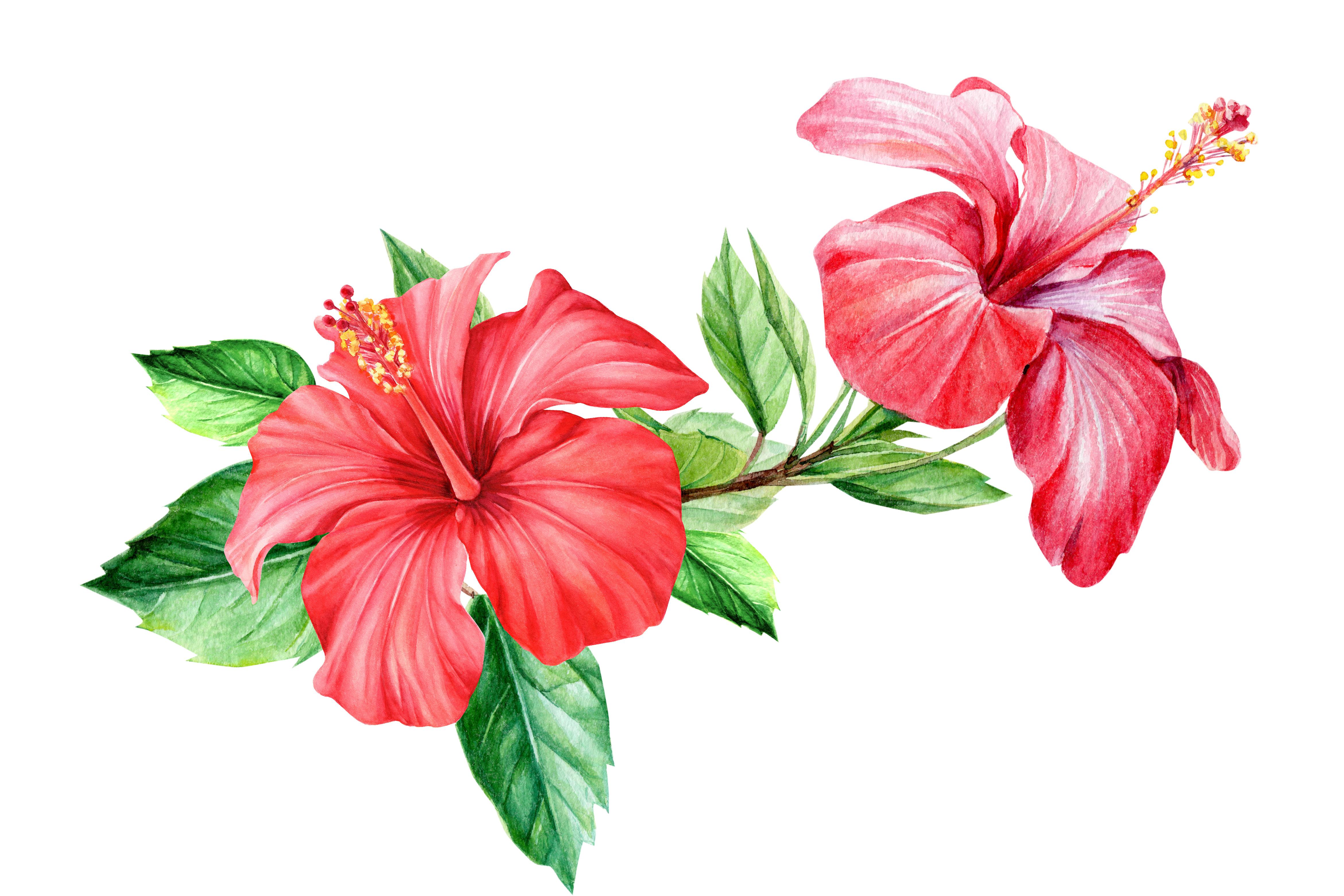 The Wedding Website of Jennifer Sedano and Martin Heneghan