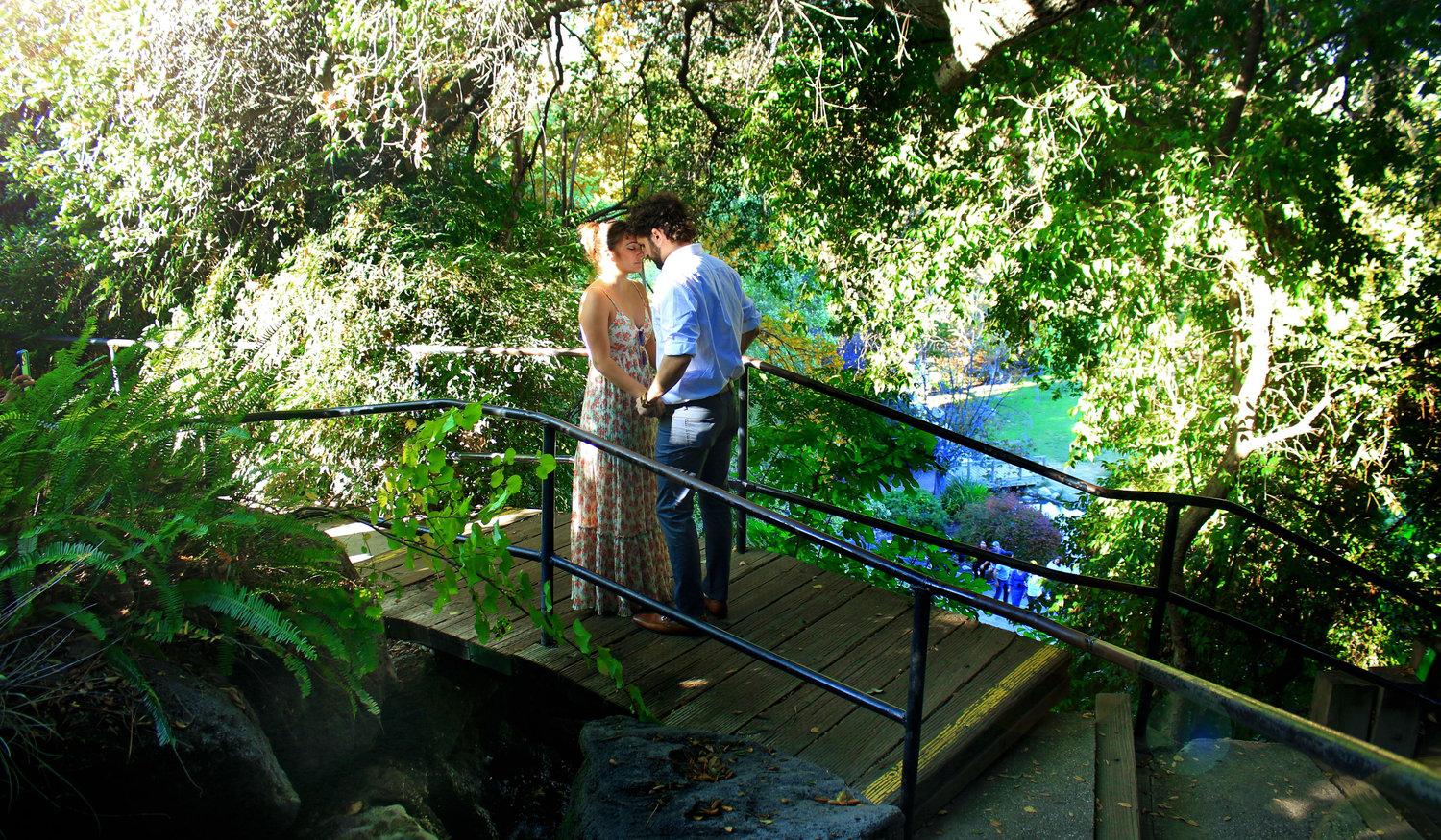 Footer image