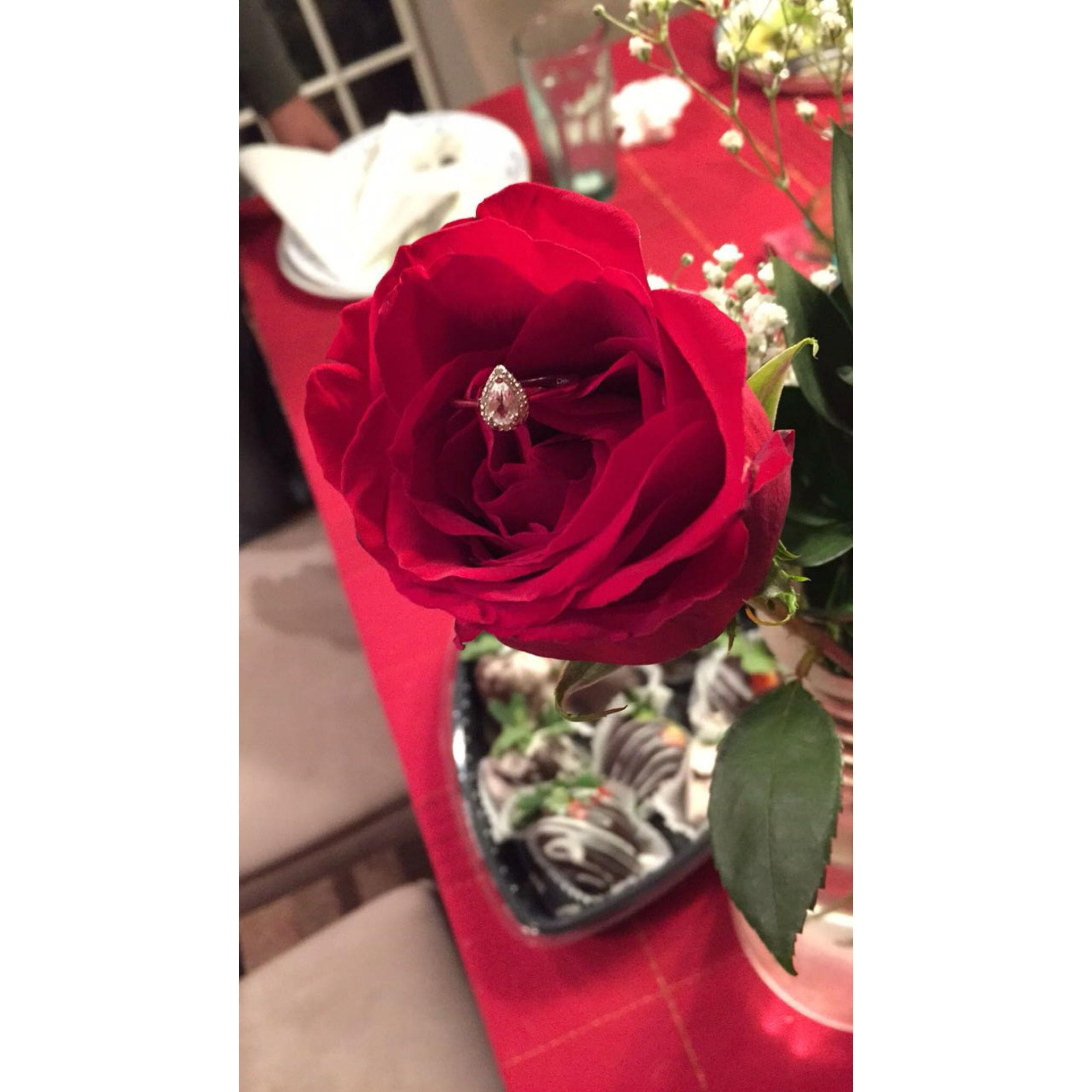 PROMISE RING FEB. 2019