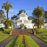 Dahlia Gardens at Golden Gate Park