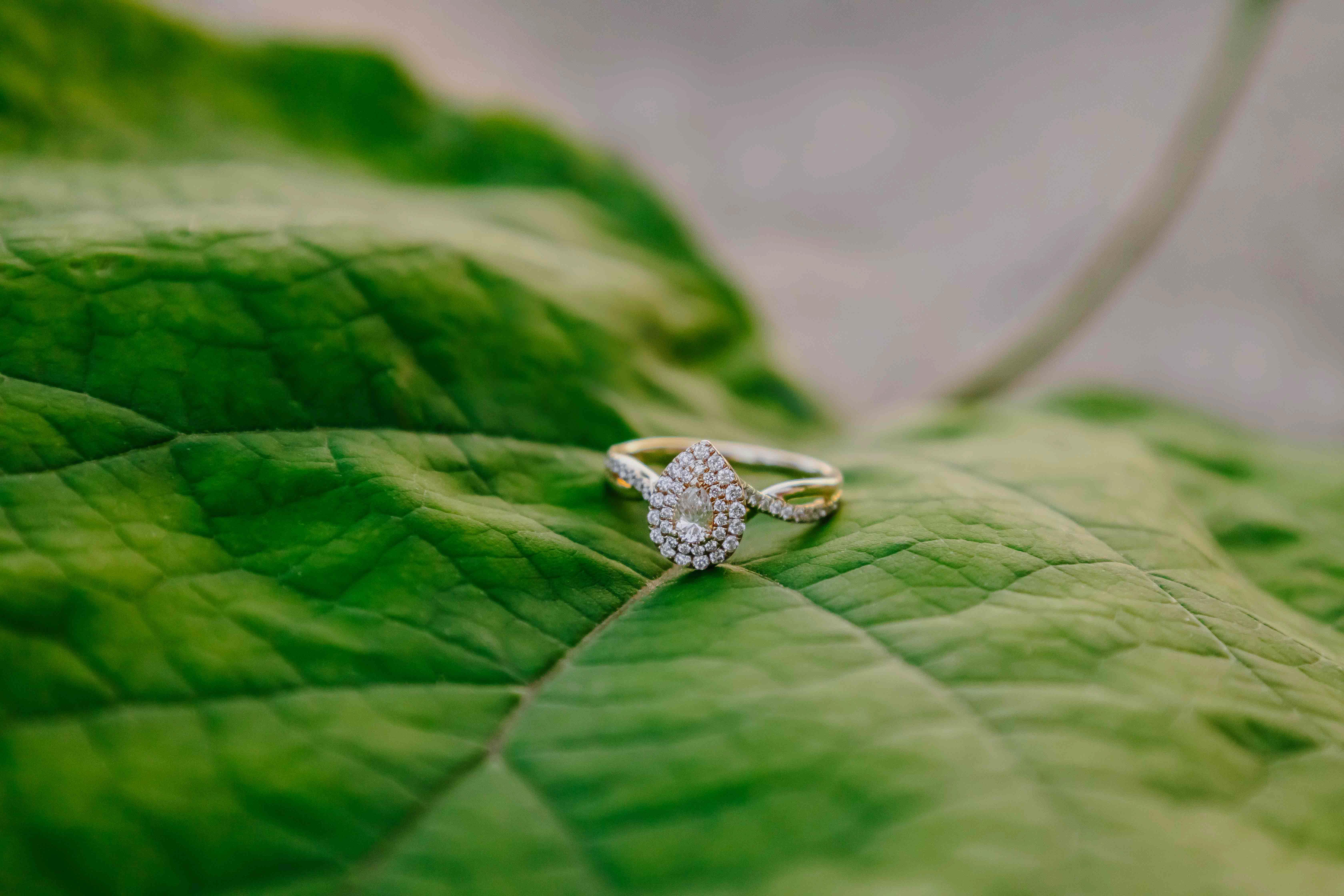 89cb8968-e5ea-4e96-bdf6-1102e5e858ab