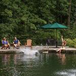 Beat the heat - Take a dip