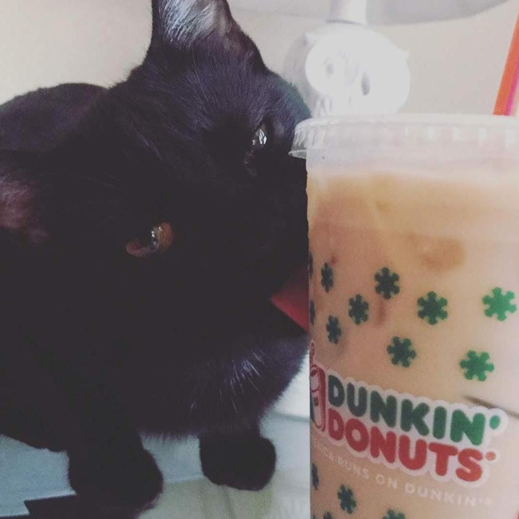 We run on Dunkin'.