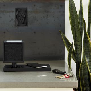 Revive Bluetooth Speaker with Wireless Charging Pad and Lamp