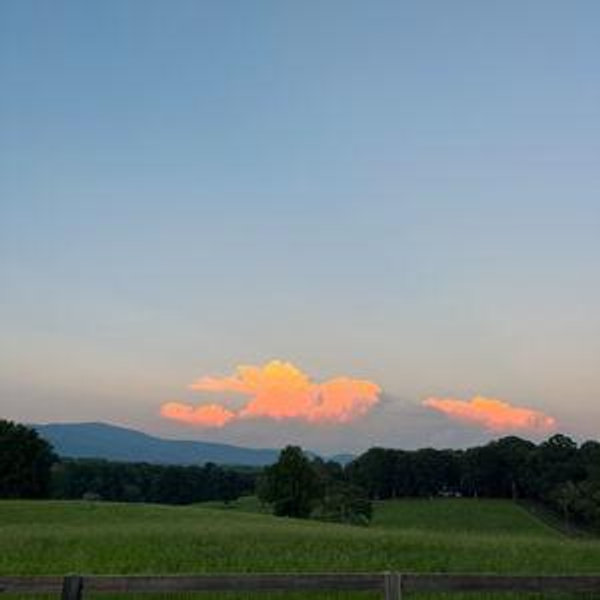 Newlywed & First Home Fund