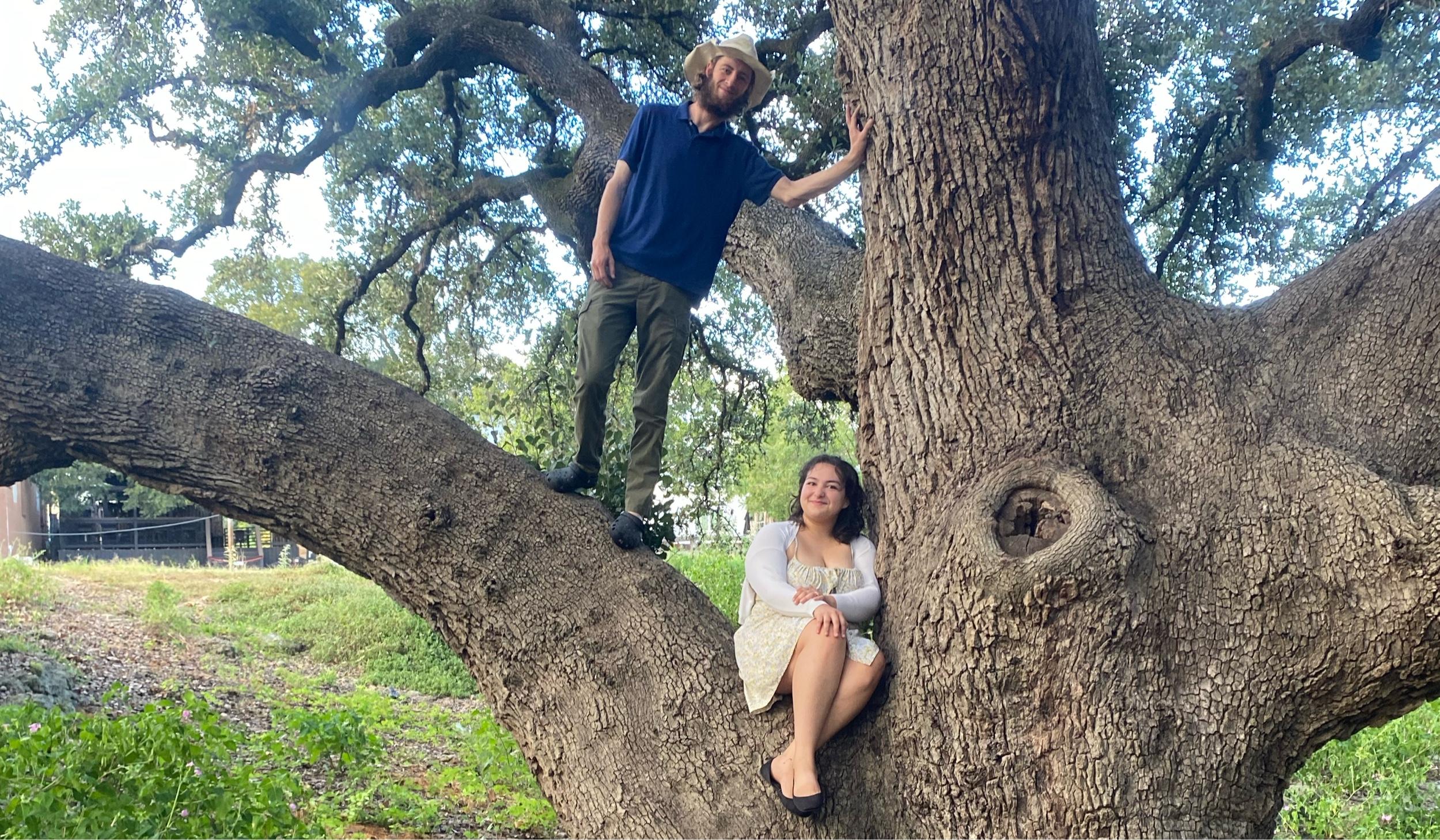 Hero Slideshow Image 0