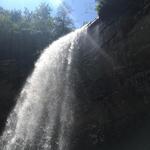 Hiking @ Foster Falls