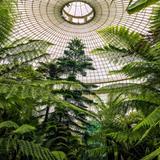 Harry P Leu Gardens