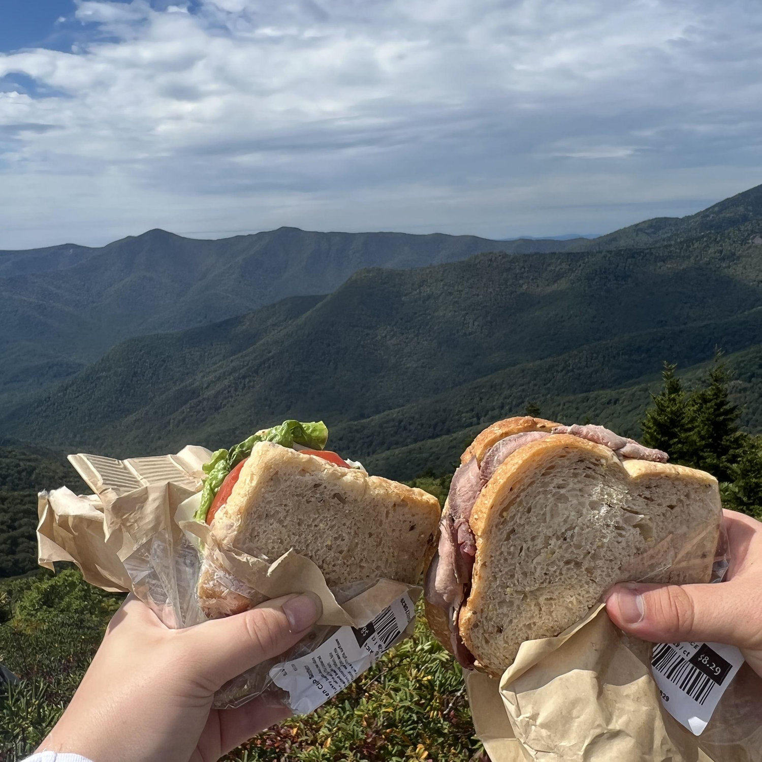 Blue Ridge Mountains, NC (2022)