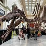 Field Museum Chicago