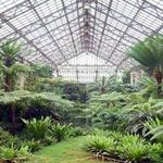 Garfield Park Conservatory