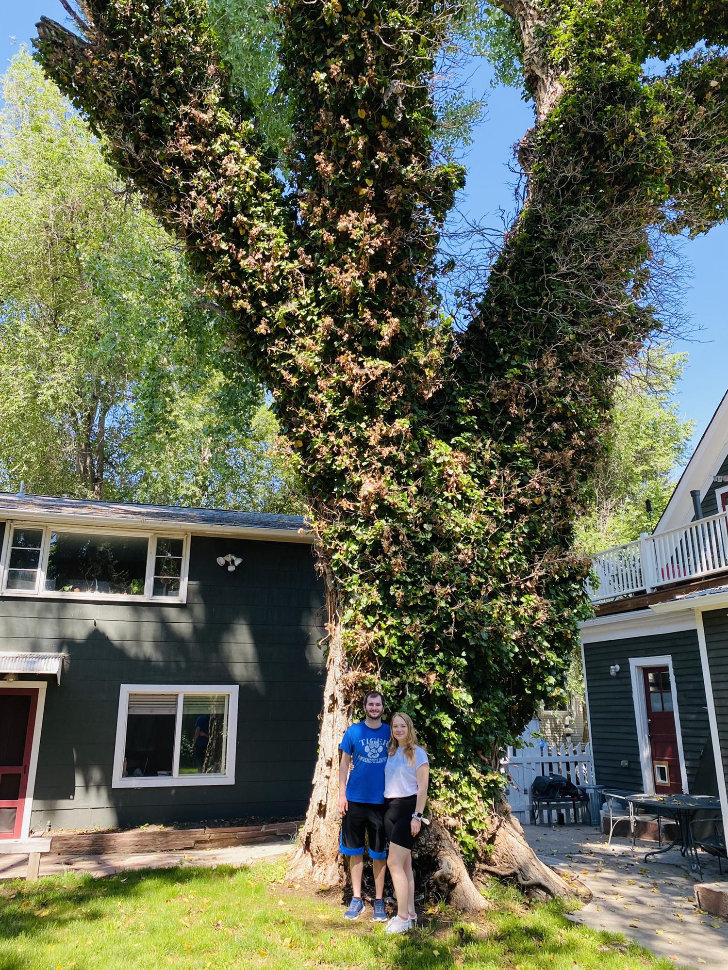 Our apartment in Colorado with “the tallest tree in Longmont” in our backyard