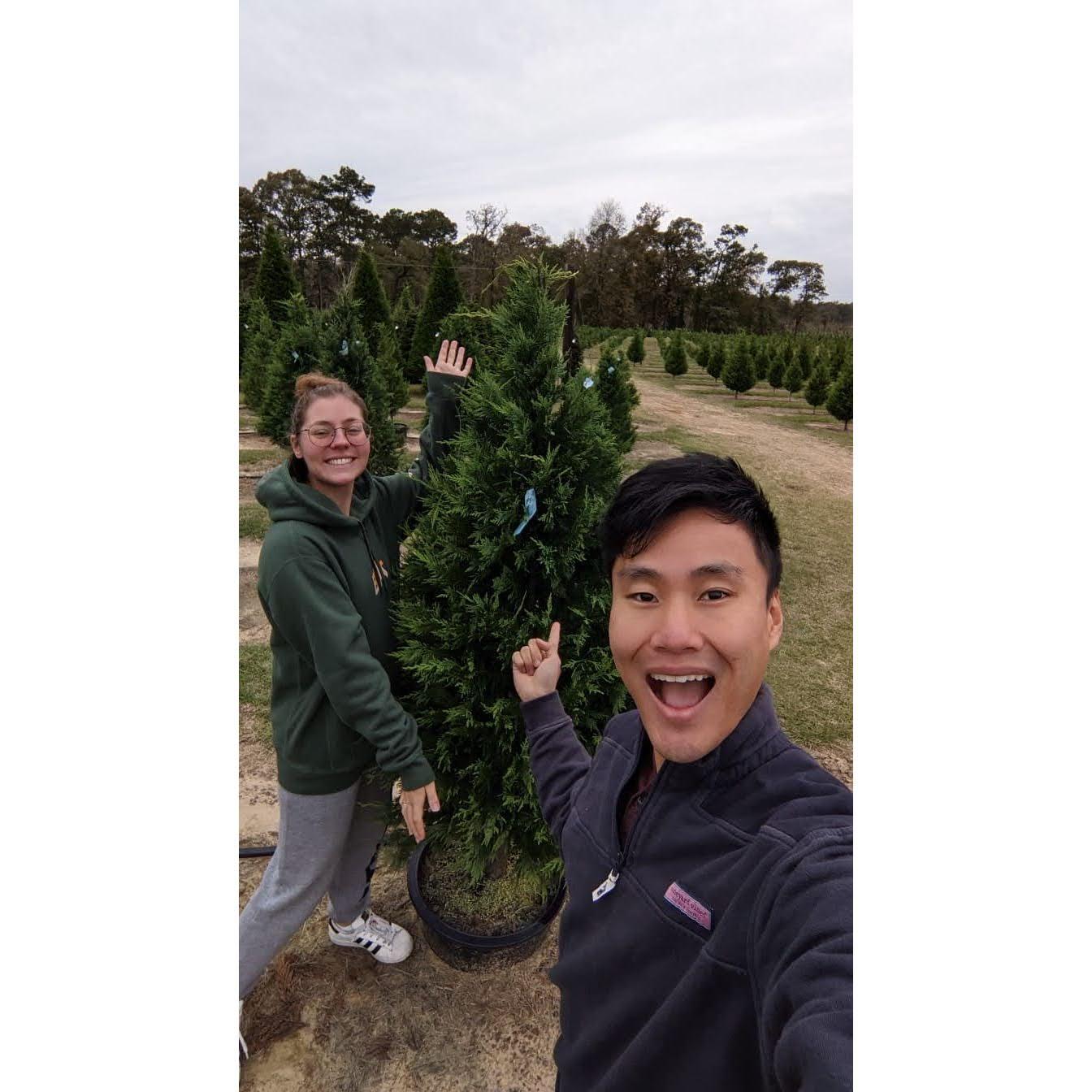 This is our Christmas tree we named Noel! We had so much fun picking him out and bringing him home with us. We eventually planted him in the backyard of our house in Louisiana