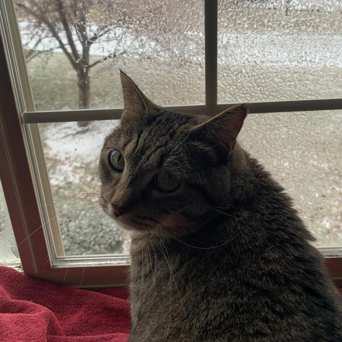 Ruth is upset that her window view is blocked by ice.