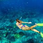 Reef Snorkeling