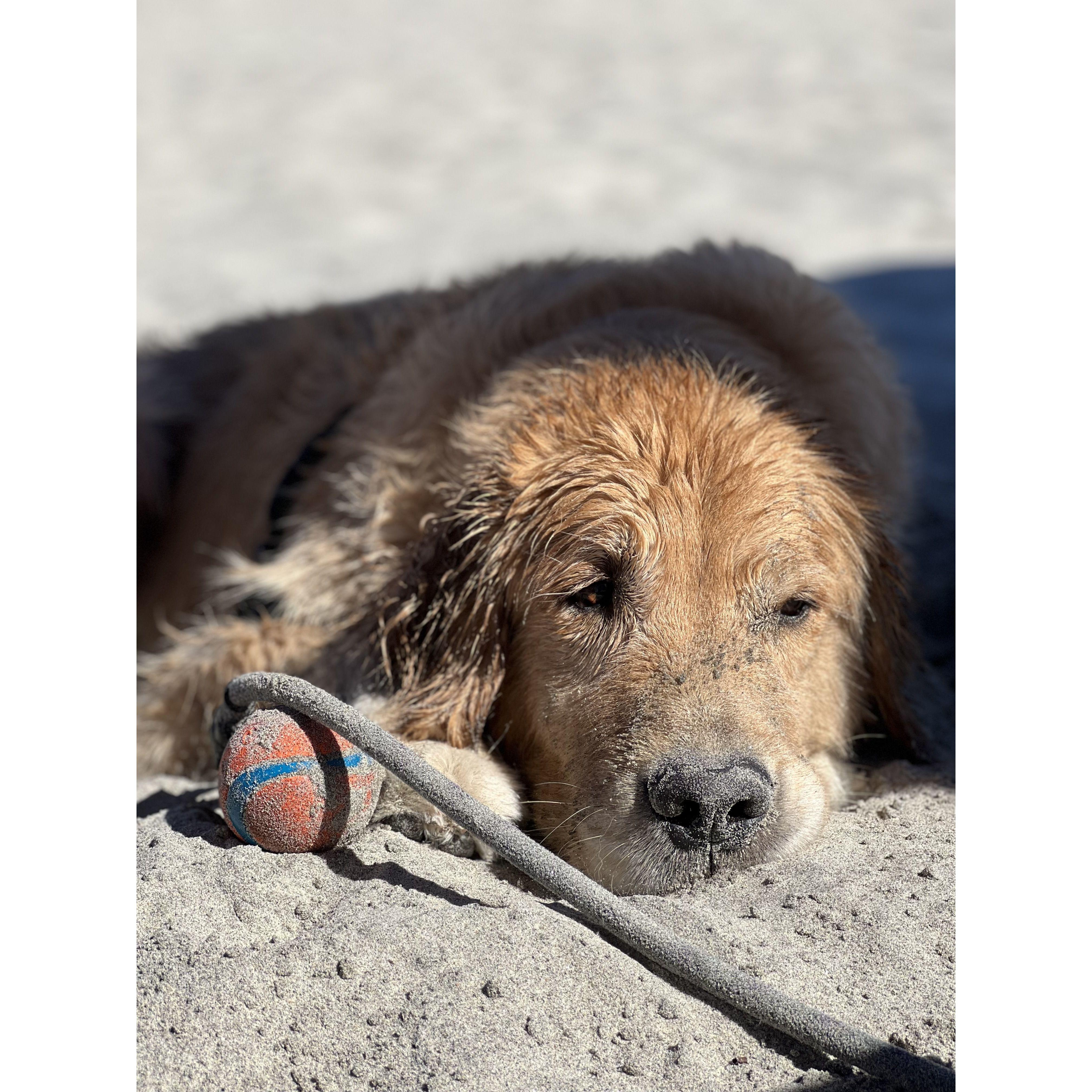 Our favorite beach boy