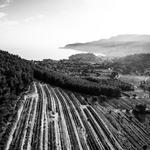 Domaine du Paternel