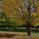 For-Mar Nature Preserve & Arboretum
