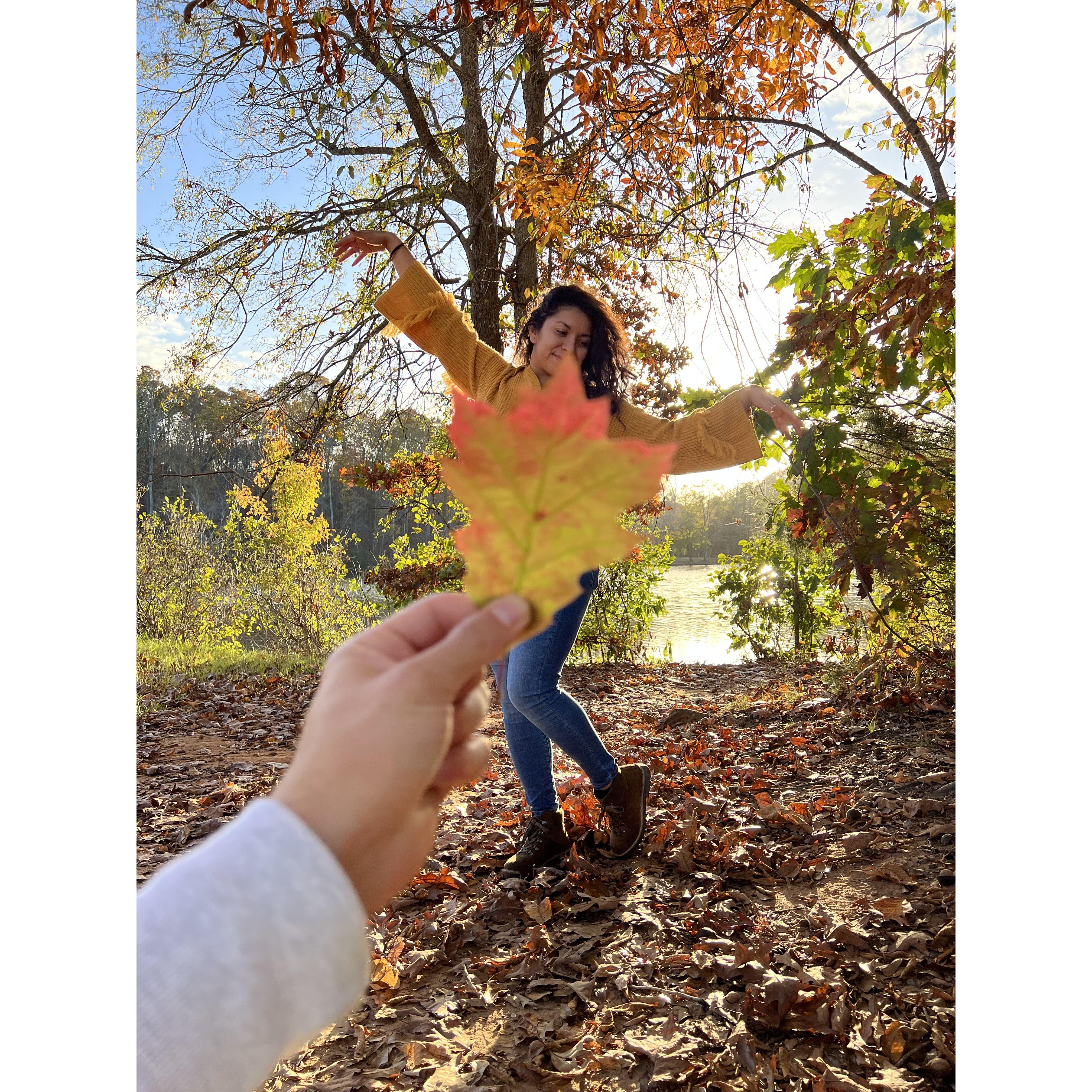 And leaves 🍁