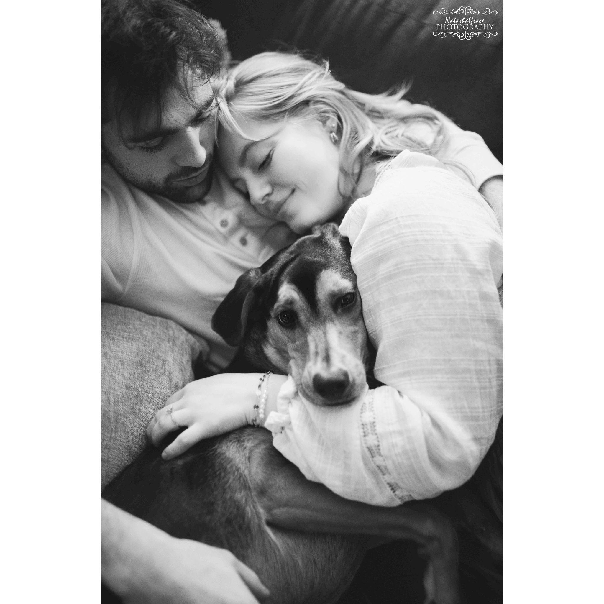 Correction - cuddled up on the couch with our dogs is our favorite place to be.