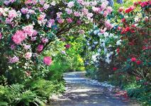 Norfolk Botanical Garden