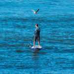 South End Surf 'N Paddle