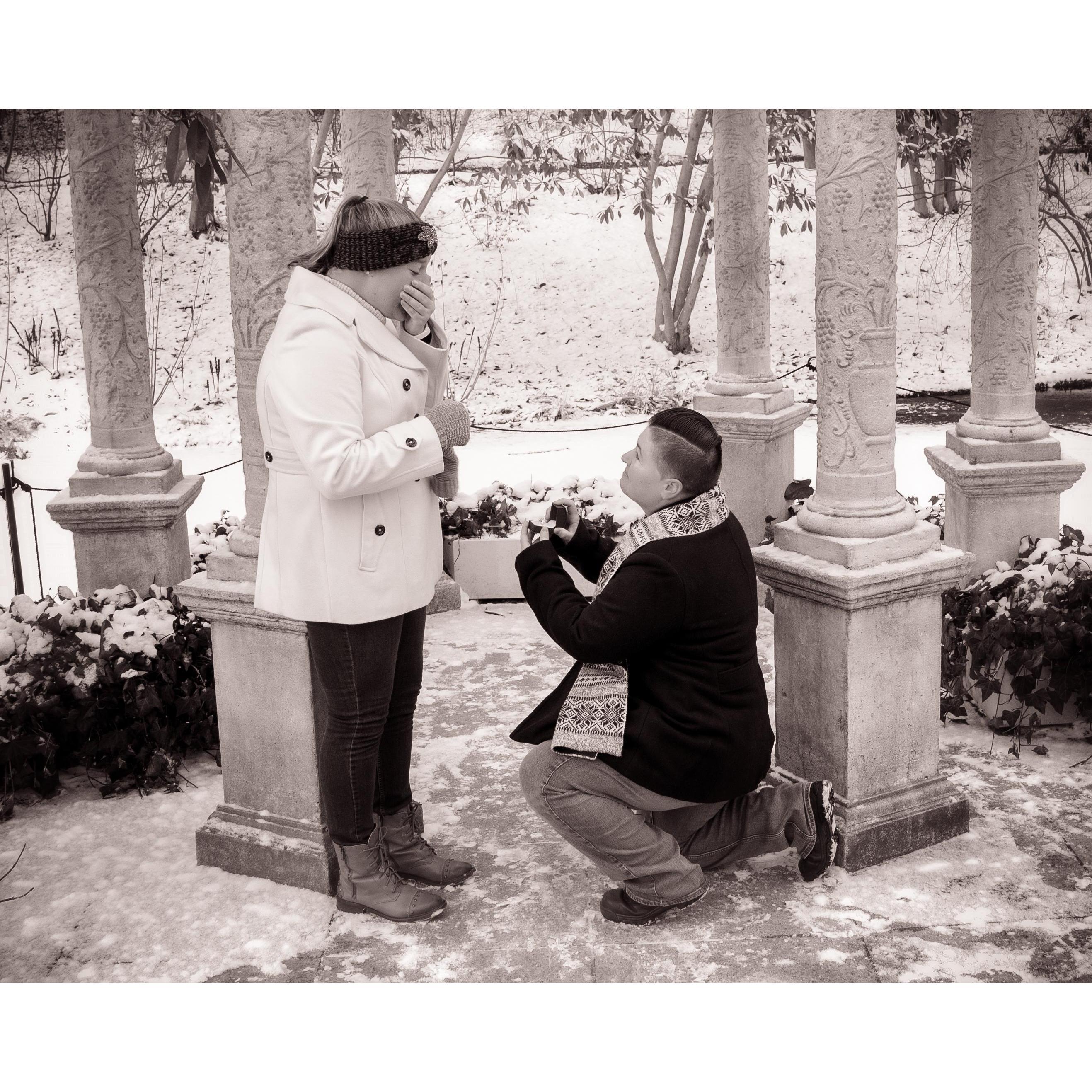 Longwood Gardens "The Proposal" 2017