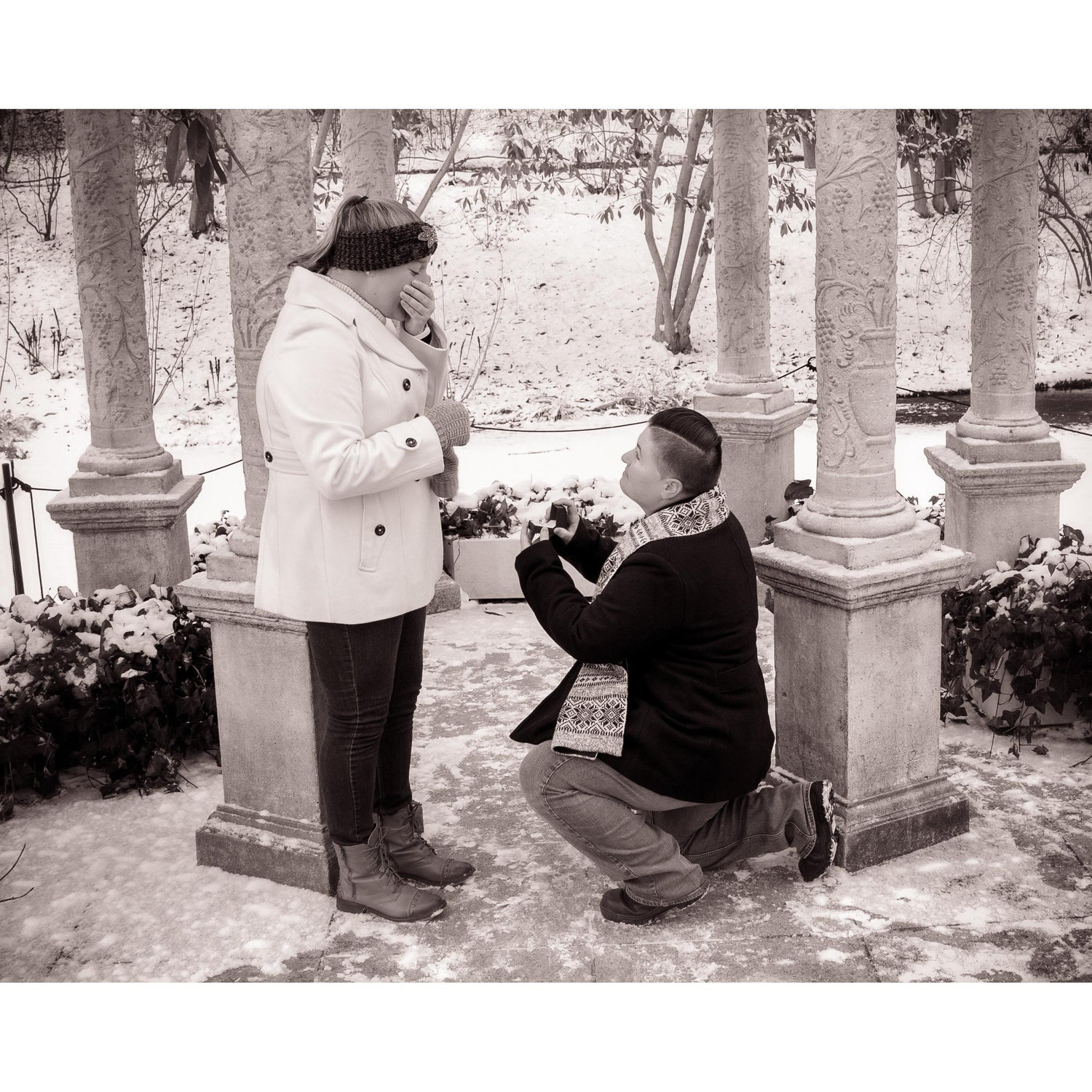 Longwood Gardens "The Proposal" 2017