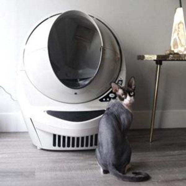 Pet Upgrade Fund