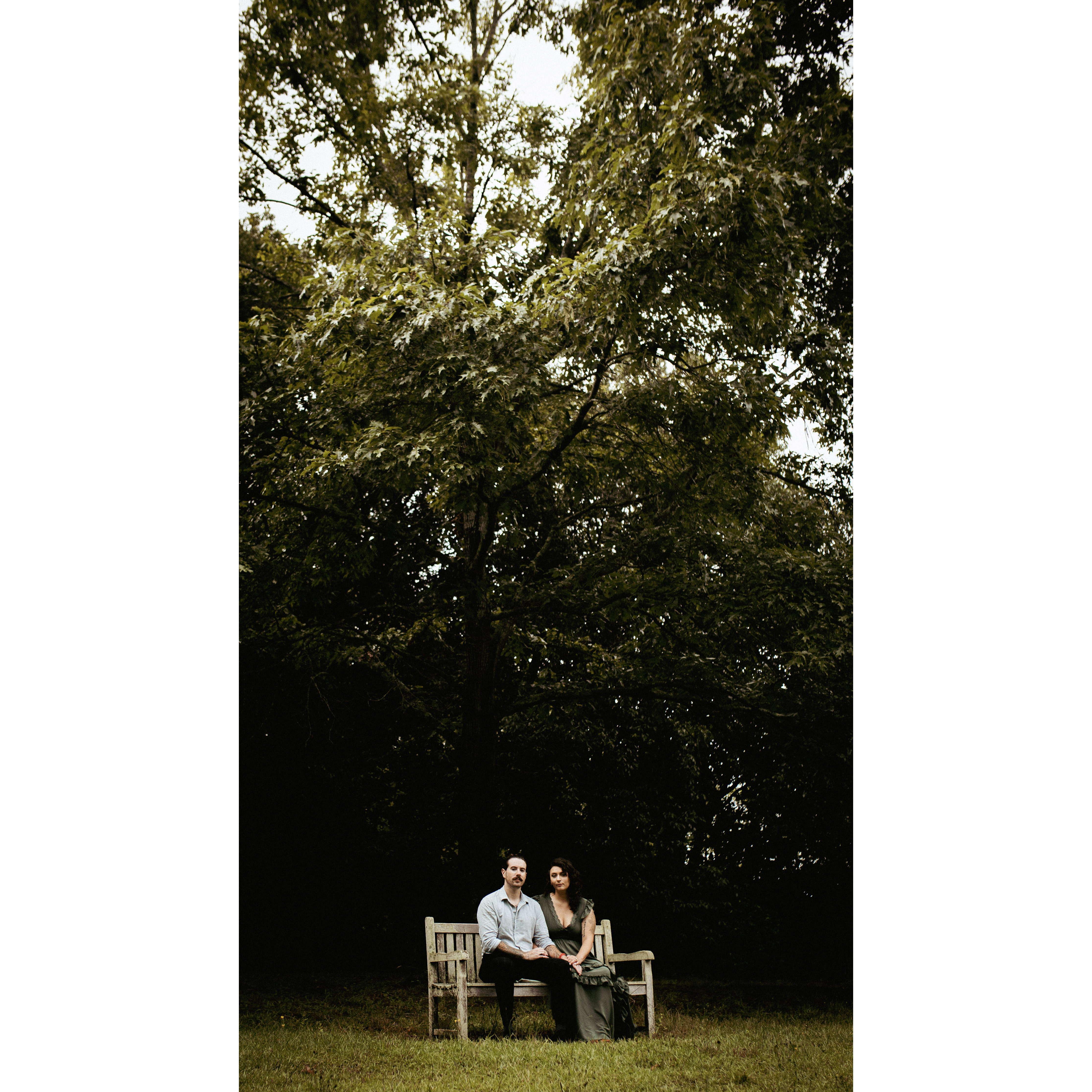 Engagement photos in Clemson, SC