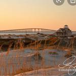 Pea Island National Wildlife Refuge