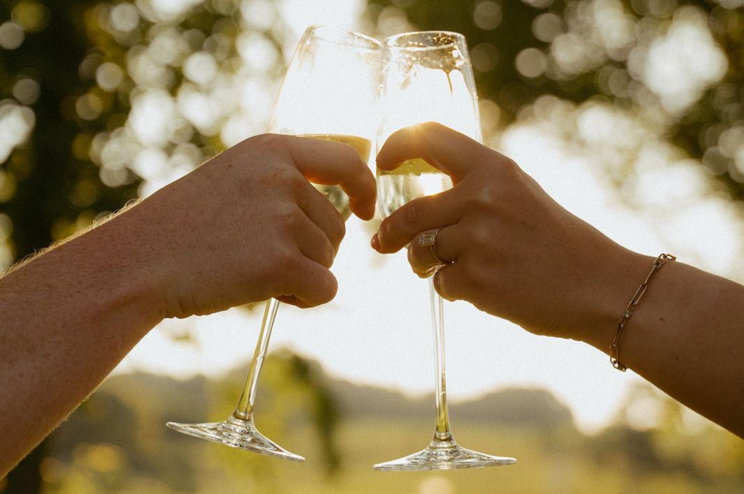 The Wedding Website of Kinzie Rose Bender and Alex John Bremmer