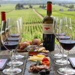 Wine Tasting in Sonoma and Napa County