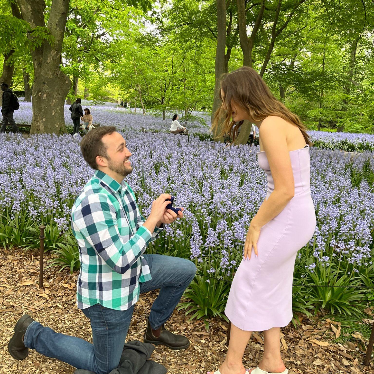 The proposal