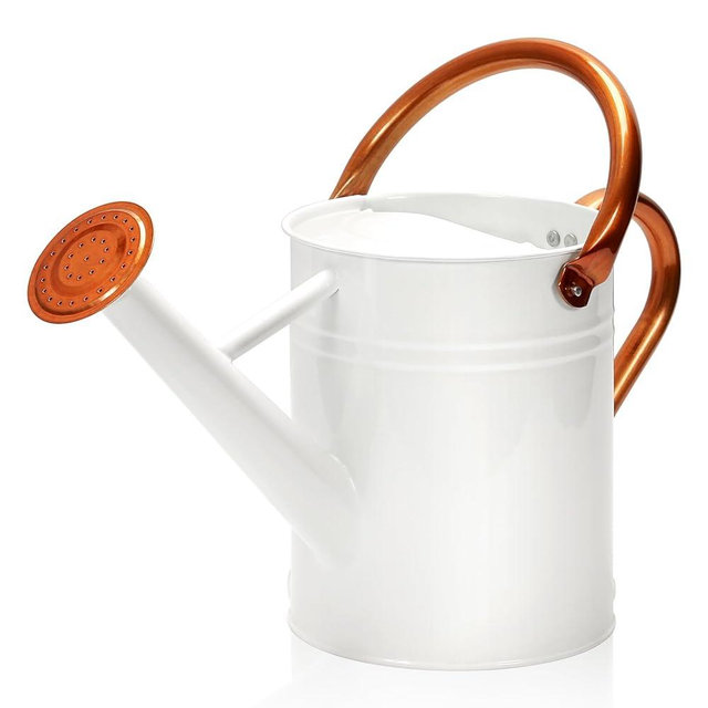 Ausluru Metal Watering Can with Removable Spout, Galvanized Watering Can, Perfect Plant Watering Can for Indoor Use and for Outdoor Use (1 Gallaon, White)