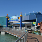 Mystic Aquarium