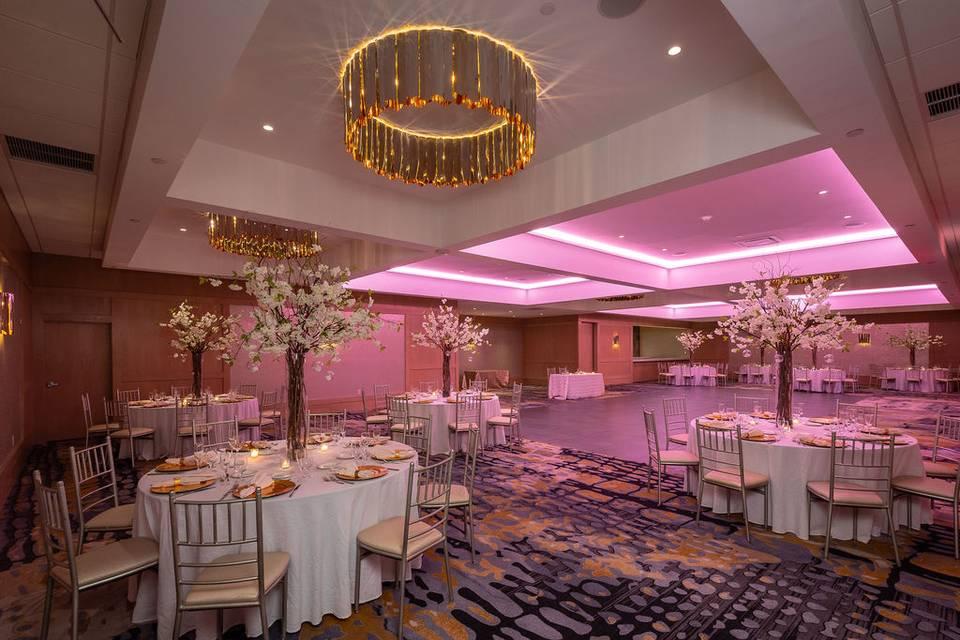 The Wedding Website of Thomas E. Shell and Sylvia L. Pate