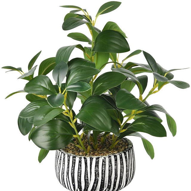 florisso Artificial Succulents with Fig Leaf Greenery in Rustic Clay Planter, Fake Succulents Potted Decor for Farmhouse, Bathroom, Bedroom, Kitchen, Office Desk and Coffee Table (Black White)