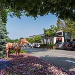 Americana Manhasset