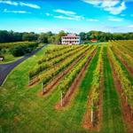 Willow Creek Winery & Farm