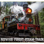 Roaring Camp Railroad