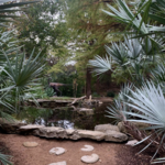 Zilker Botanical Garden