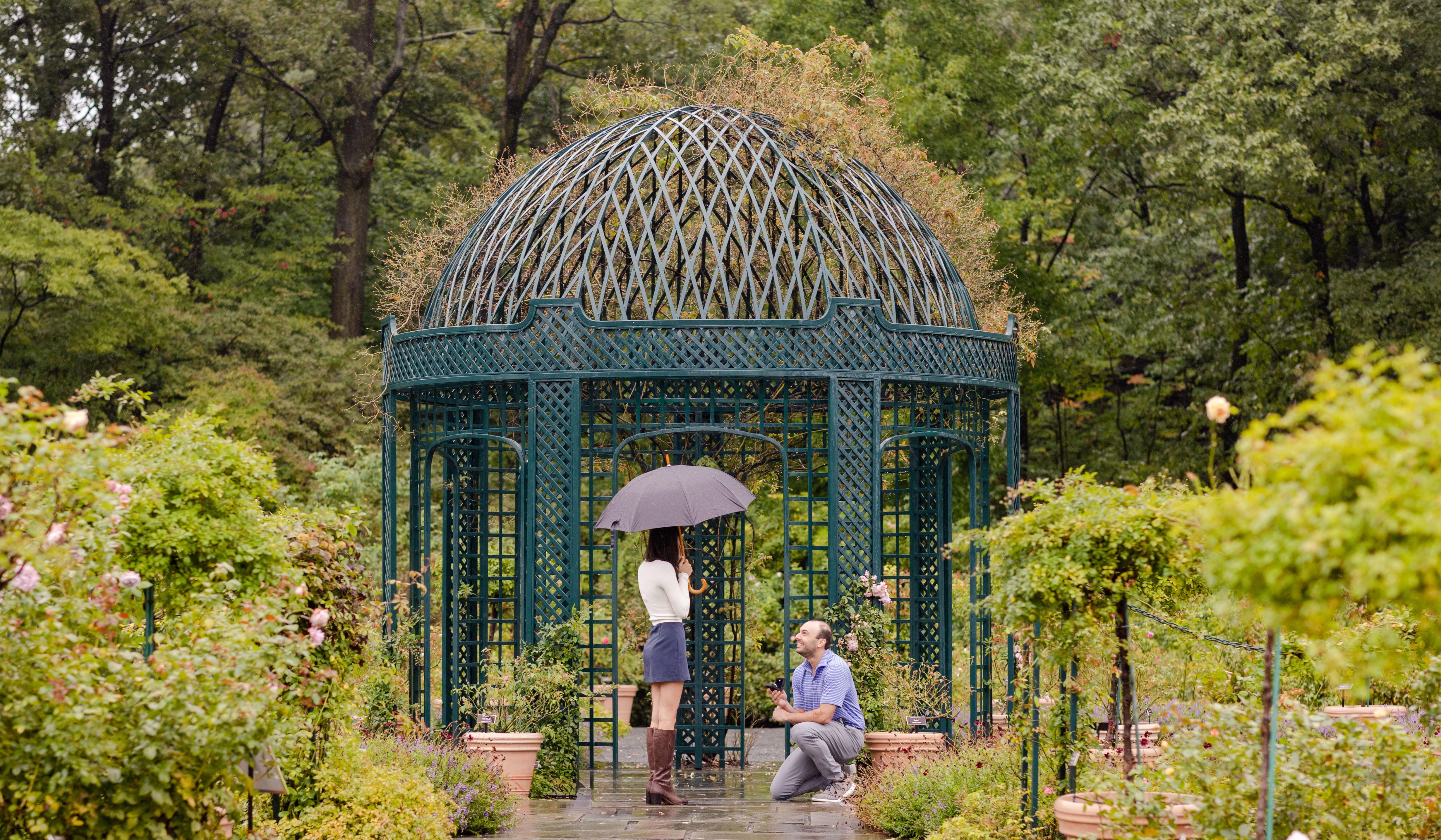 Hero Slideshow Image 0