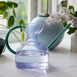 Plant Watering Can