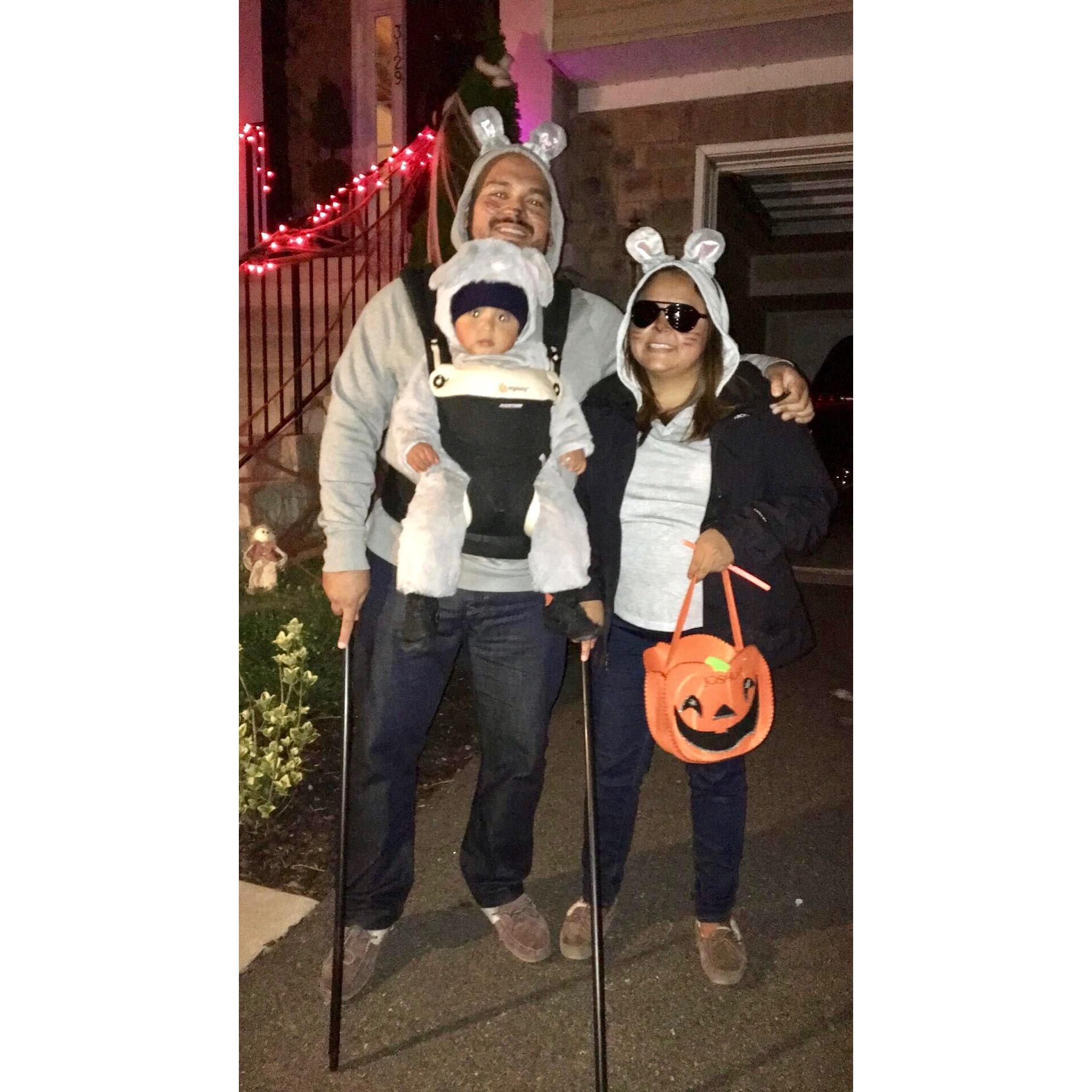 Halloween 2016 - 3 Blind Mice