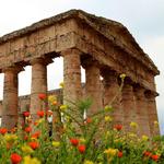 Tempio di Segesta